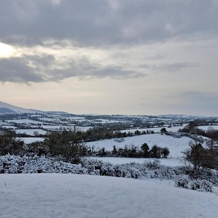 Riverside Cabin Limerick Junction Εξωτερικό φωτογραφία
