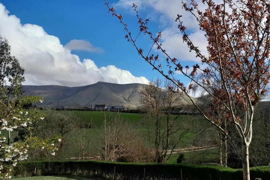 Riverside Cabin Limerick Junction Εξωτερικό φωτογραφία