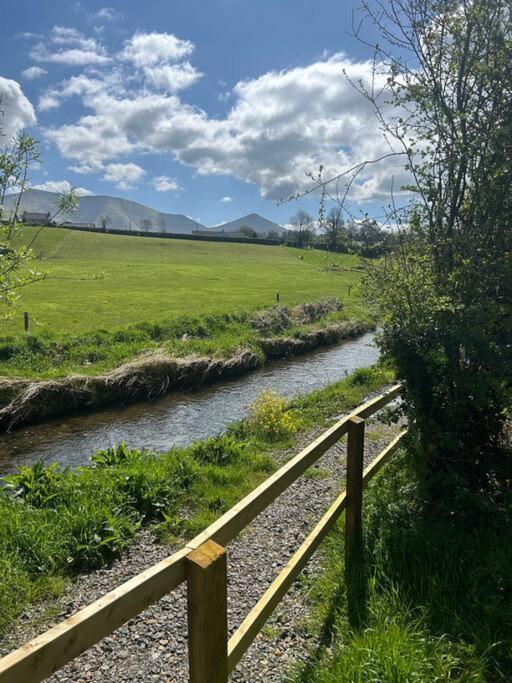 Riverside Cabin Limerick Junction Εξωτερικό φωτογραφία