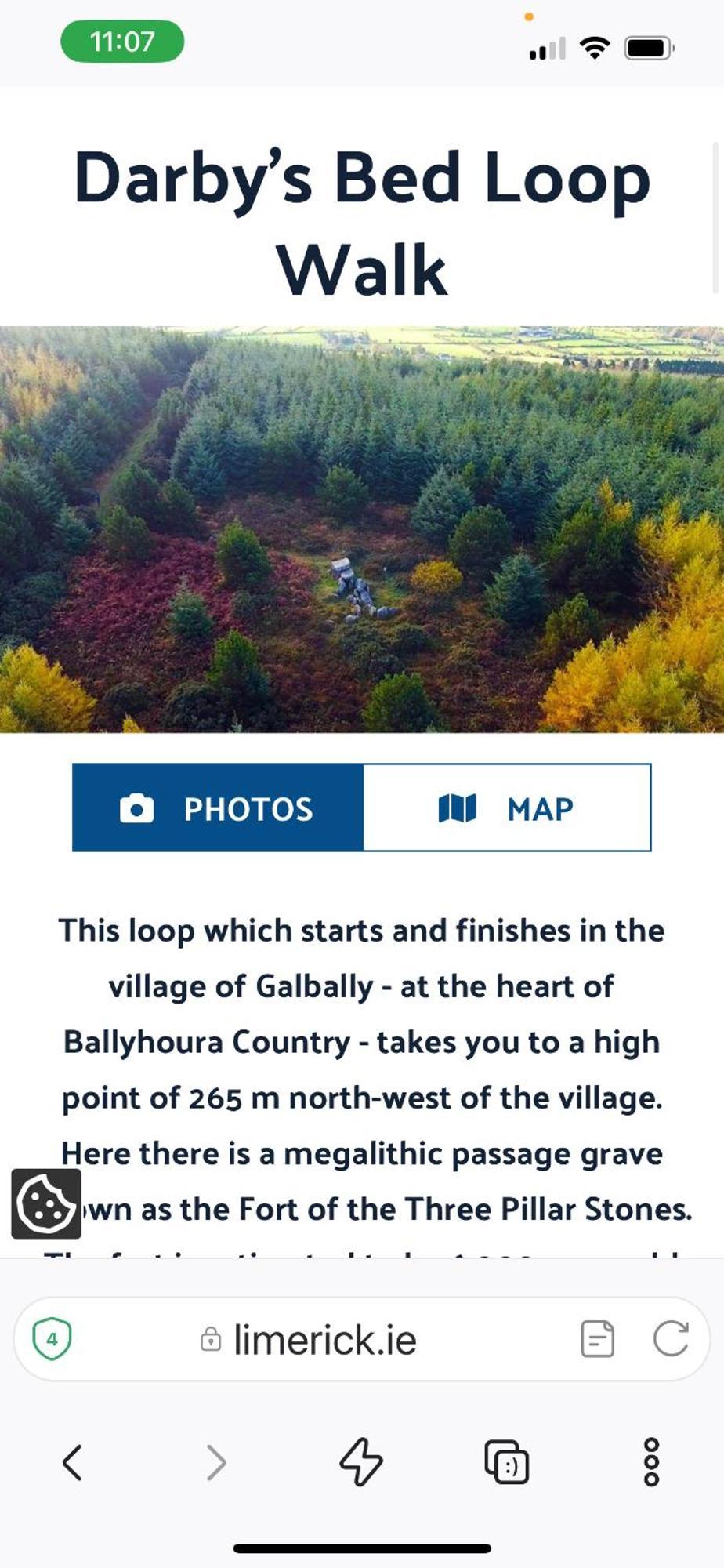 Riverside Cabin Limerick Junction Εξωτερικό φωτογραφία