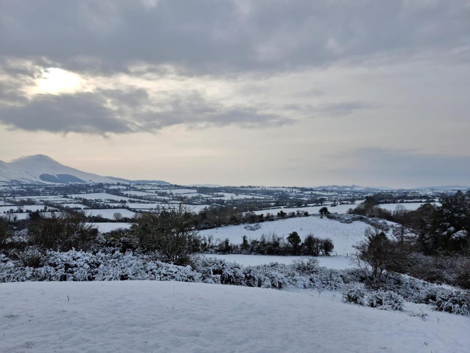 Riverside Cabin Limerick Junction Εξωτερικό φωτογραφία