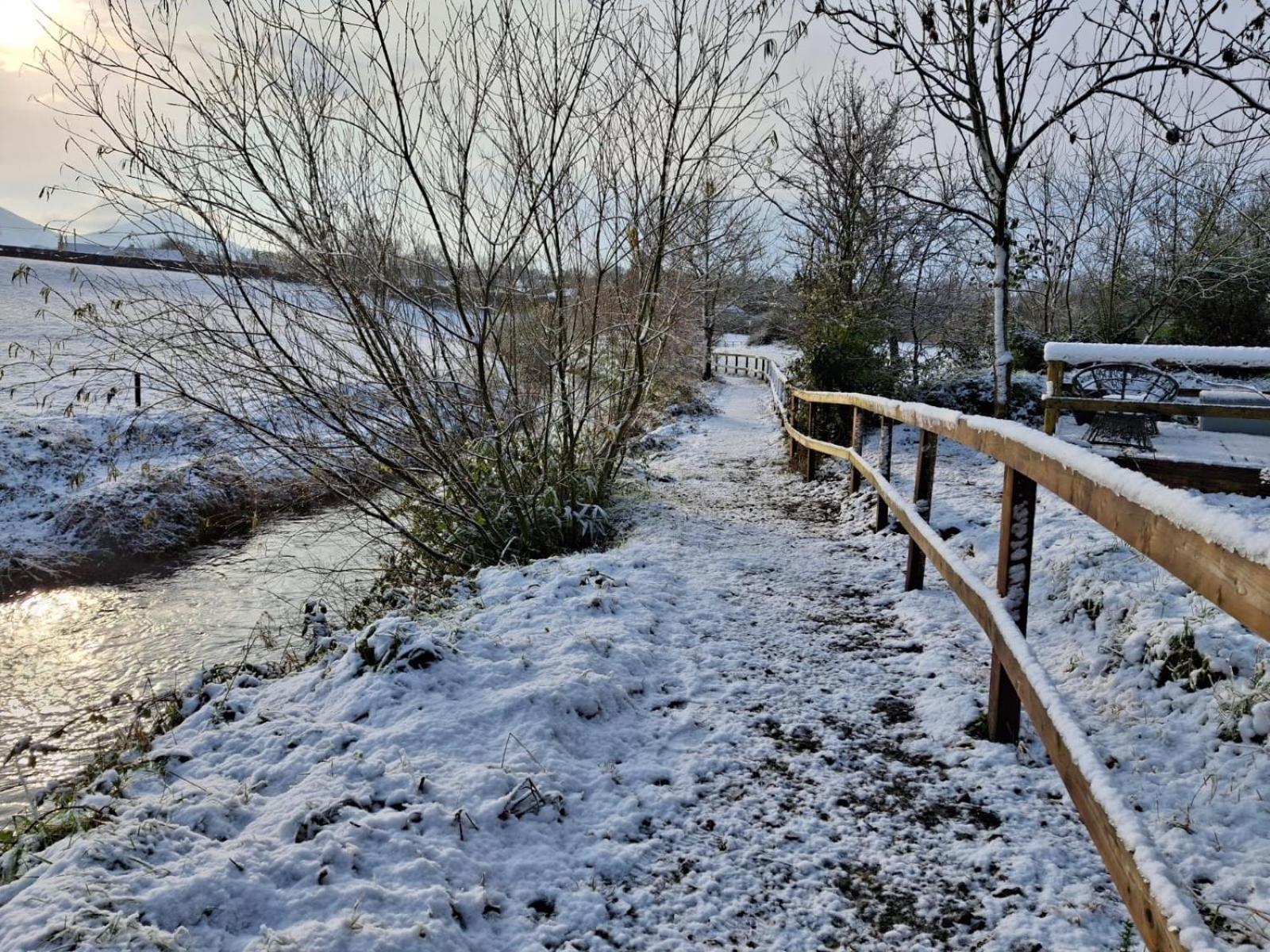 Riverside Cabin Limerick Junction Εξωτερικό φωτογραφία