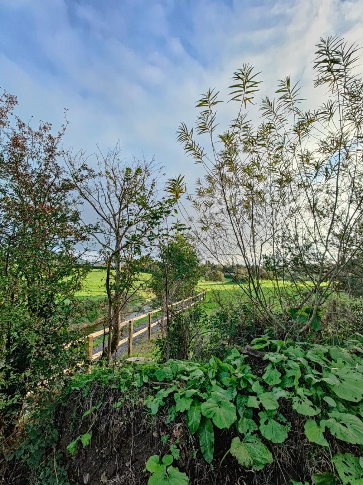 Riverside Cabin Limerick Junction Εξωτερικό φωτογραφία